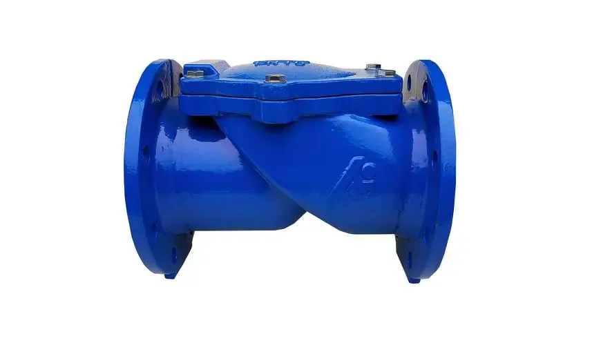 Skaitykite daugiau apie „Check Valve Assy“